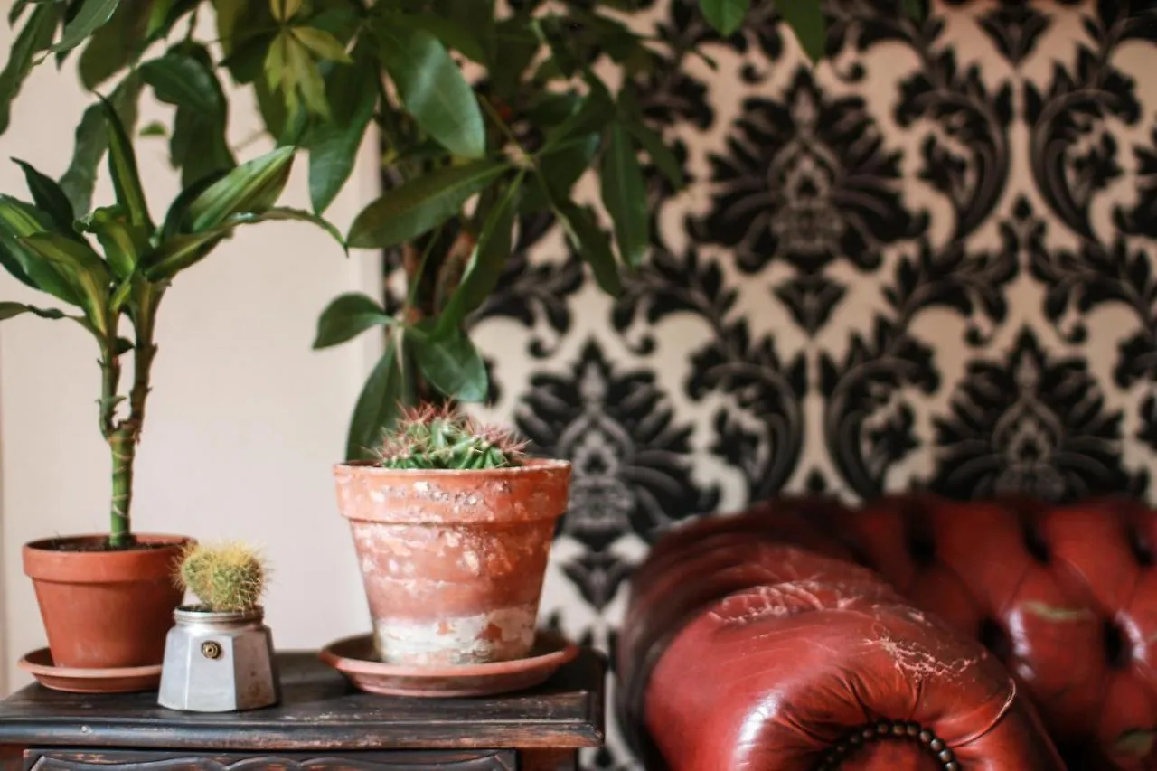 Kwatera prywatna Apartament Coliving Trastevere Rzym